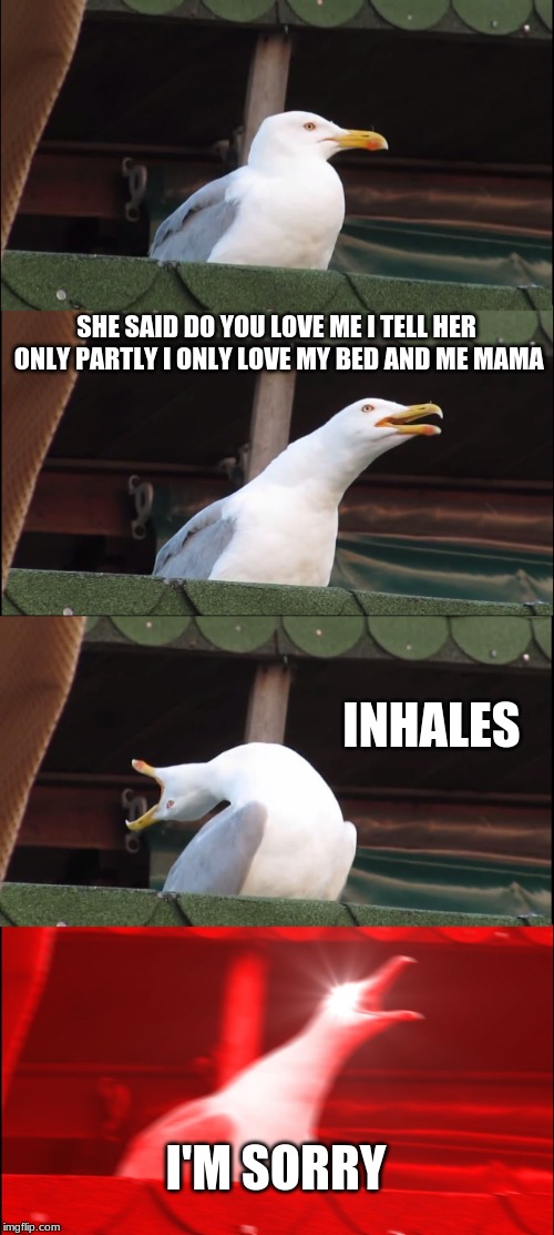 Inhaling Seagull Meme | SHE SAID DO YOU LOVE ME I TELL HER ONLY PARTLY I ONLY LOVE MY BED AND ME MAMA; INHALES; I'M SORRY | image tagged in memes,inhaling seagull | made w/ Imgflip meme maker