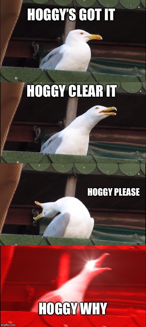 Inhaling Seagull Meme | HOGGY’S GOT IT; HOGGY CLEAR IT; HOGGY PLEASE; HOGGY WHY | image tagged in memes,inhaling seagull | made w/ Imgflip meme maker