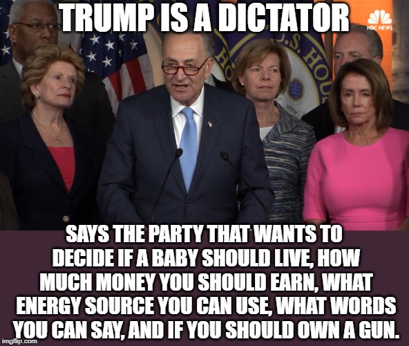 We need less government control, not more. | TRUMP IS A DICTATOR; SAYS THE PARTY THAT WANTS TO DECIDE IF A BABY SHOULD LIVE, HOW MUCH MONEY YOU SHOULD EARN, WHAT ENERGY SOURCE YOU CAN USE, WHAT WORDS YOU CAN SAY, AND IF YOU SHOULD OWN A GUN. | image tagged in democrat congressmen | made w/ Imgflip meme maker