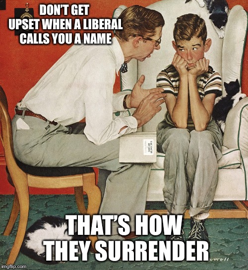 Don’t get upset | DON’T GET UPSET WHEN A LIBERAL CALLS YOU A NAME; THAT’S HOW THEY SURRENDER | image tagged in norman rockwell,liberals,name calling,political meme,memes | made w/ Imgflip meme maker