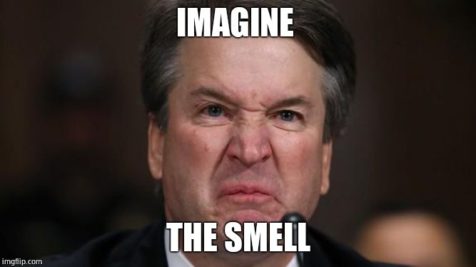 The Last Sneer | IMAGINE THE SMELL | image tagged in the last sneer | made w/ Imgflip meme maker