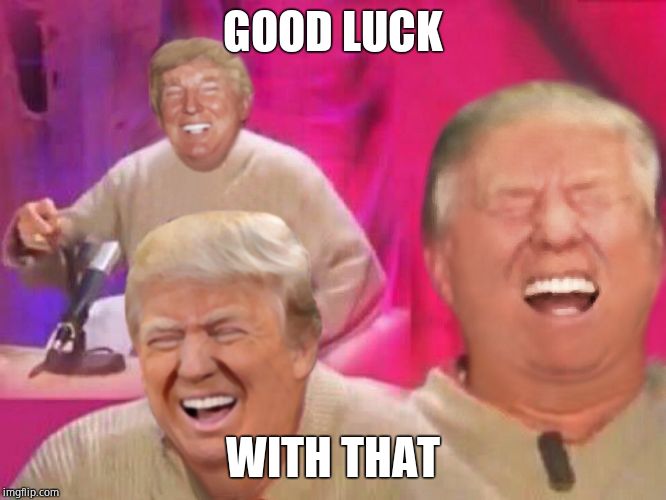 Laughing Trump | GOOD LUCK WITH THAT | image tagged in laughing trump | made w/ Imgflip meme maker