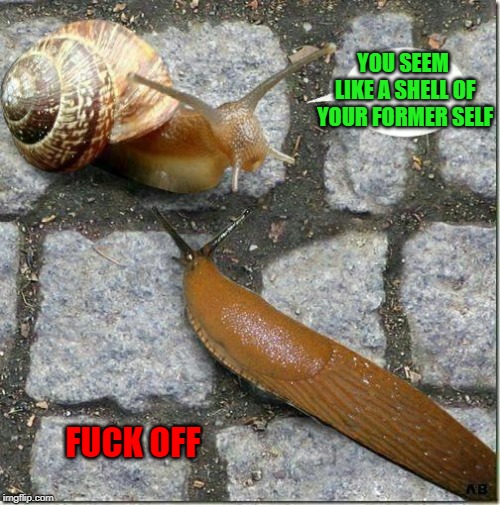 YOU SEEM LIKE A SHELL OF YOUR FORMER SELF F**K OFF | made w/ Imgflip meme maker