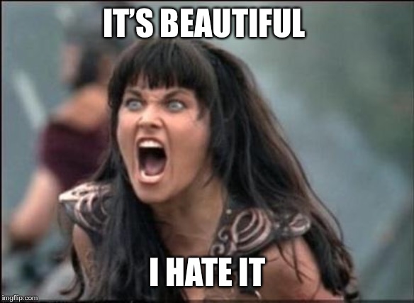 Angry Xena | IT’S BEAUTIFUL I HATE IT | image tagged in angry xena | made w/ Imgflip meme maker