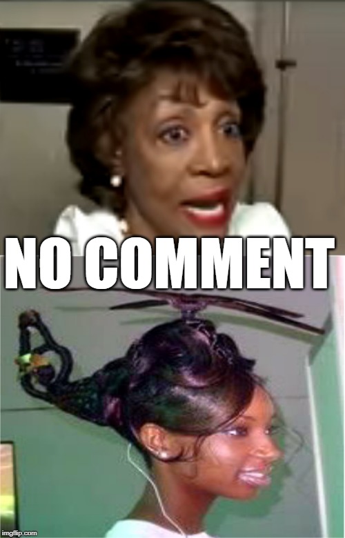 Maxine Waters dingbat | NO COMMENT | image tagged in crazy maxine,old fossil,maxine waters,maxine poverty pimp,trump derangement syndrome | made w/ Imgflip meme maker