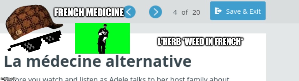french healthcare | FRENCH MEDICINE; L'HERB *WEED IN FRENCH* | image tagged in french,weed,alternative medicine | made w/ Imgflip meme maker