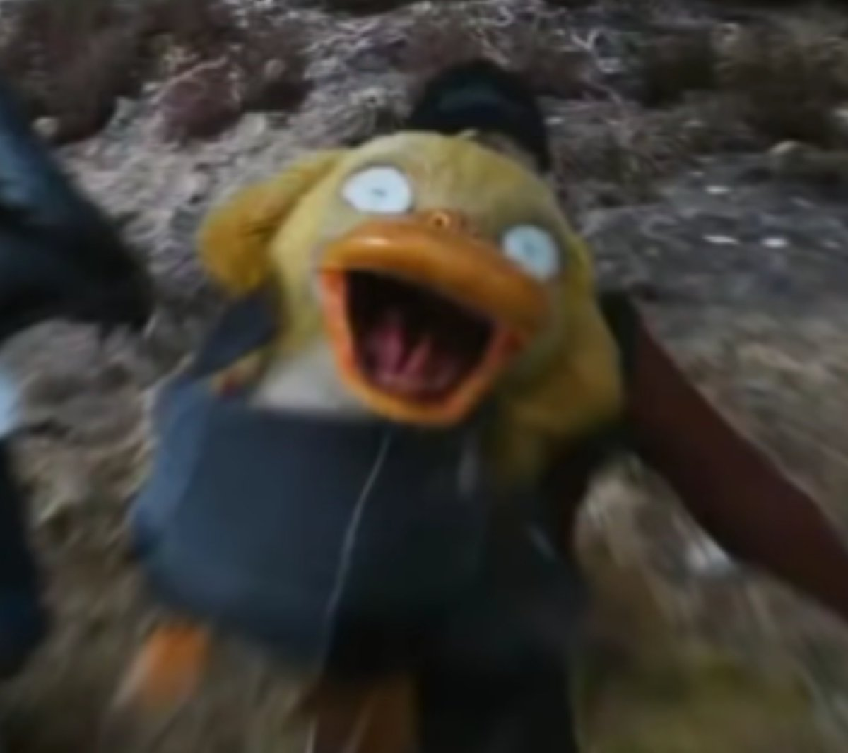 Psyduck Blank Meme Template