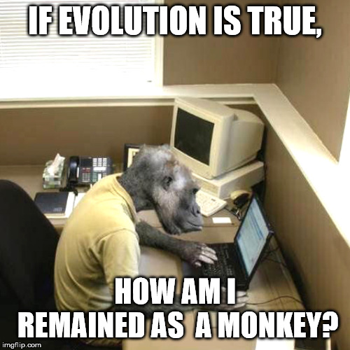 Monkey Business | IF EVOLUTION IS TRUE, HOW AM I REMAINED AS  A MONKEY? | image tagged in memes,monkey business | made w/ Imgflip meme maker