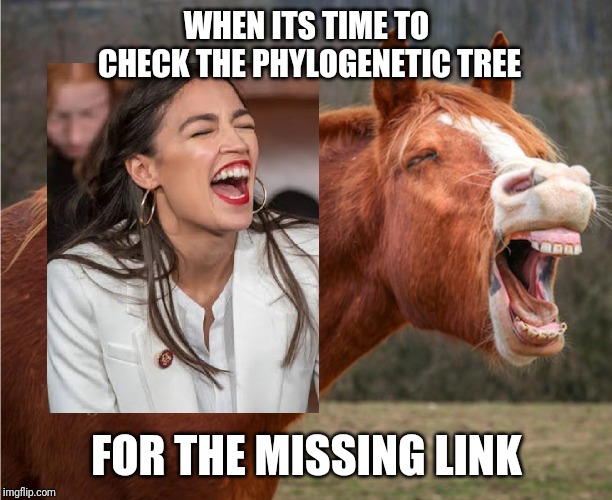 AOC and the missing link | WHEN ITS TIME TO CHECK THE PHYLOGENETIC TREE; FOR THE MISSING LINK | image tagged in aoc,alexandria ocasio-cortez,crazy alexandria ocasio-cortez,crazy democrats,missing link | made w/ Imgflip meme maker