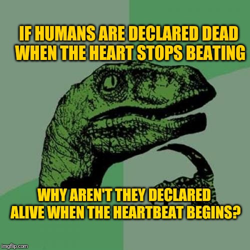 Philosoraptor | IF HUMANS ARE DECLARED DEAD WHEN THE HEART STOPS BEATING; WHY AREN'T THEY DECLARED ALIVE WHEN THE HEARTBEAT BEGINS? | image tagged in memes,philosoraptor | made w/ Imgflip meme maker