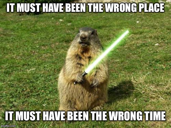 IT MUST HAVE BEEN THE WRONG PLACE; IT MUST HAVE BEEN THE WRONG TIME | image tagged in memes,groundhog | made w/ Imgflip meme maker