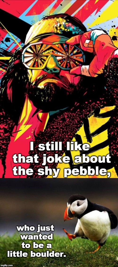 there is a time for blazing shows, and also a time for a fun pun. | I still like that joke about the shy pebble, who just wanted to be a little boulder. | image tagged in macho man randy savage,unpopular opinion puffin,jokes,meme this | made w/ Imgflip meme maker