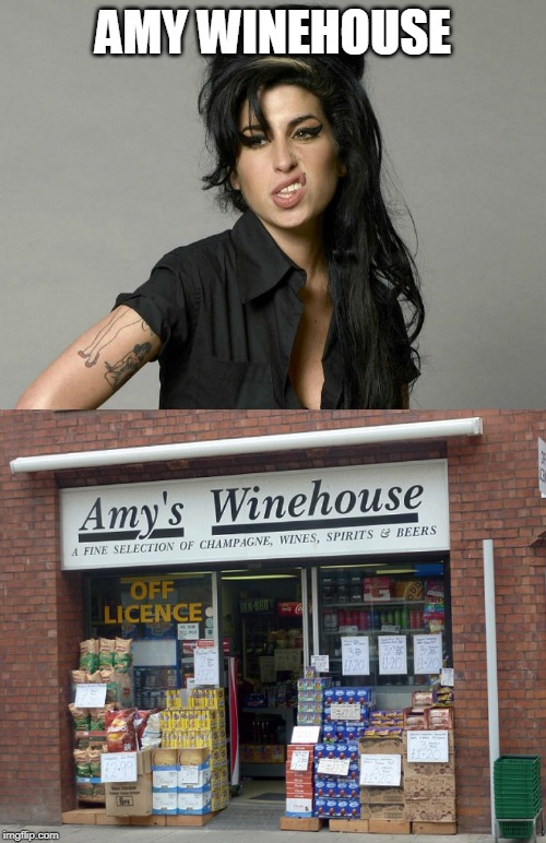 So dead right now | AMY WINEHOUSE | image tagged in memes,amy winehouse,liquor store,bad pun | made w/ Imgflip meme maker