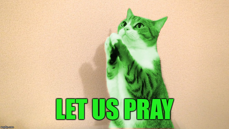 RayCat Pray | LET US PRAY | image tagged in raycat pray | made w/ Imgflip meme maker