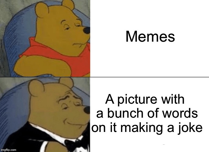 Tuxedo Winnie The Pooh | Memes; A picture with a bunch of words on it making a joke | image tagged in memes,tuxedo winnie the pooh | made w/ Imgflip meme maker