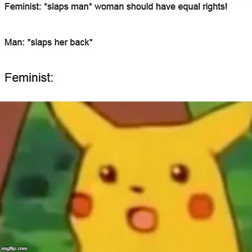 Surprised Pikachu Meme | Feminist: *slaps man* woman should have equal rights! Man: *slaps her back*; Feminist: | image tagged in memes,surprised pikachu | made w/ Imgflip meme maker
