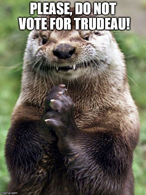 Evil Otter Meme | PLEASE, DO NOT VOTE FOR TRUDEAU! | image tagged in memes,evil otter | made w/ Imgflip meme maker