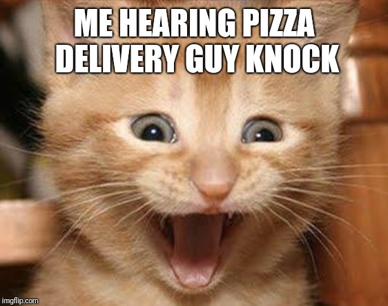 Excited Cat Meme | ME HEARING PIZZA DELIVERY GUY KNOCK | image tagged in memes,excited cat | made w/ Imgflip meme maker