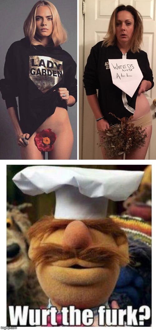Shave that Bush! | image tagged in swedish chef | made w/ Imgflip meme maker