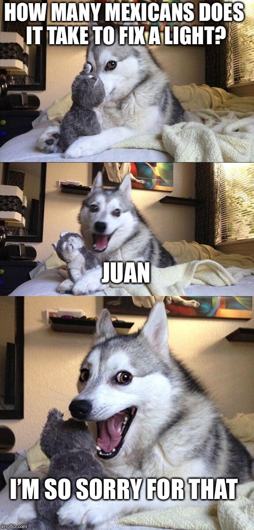 Bad Pun Dog Meme | HOW MANY MEXICANS DOES IT TAKE TO FIX A LIGHT? JUAN; I’M SO SORRY FOR THAT | image tagged in memes,bad pun dog | made w/ Imgflip meme maker