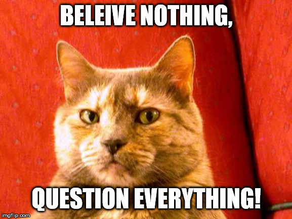 Suspicious Cat | BELEIVE NOTHING, QUESTION EVERYTHING! | image tagged in memes,suspicious cat | made w/ Imgflip meme maker