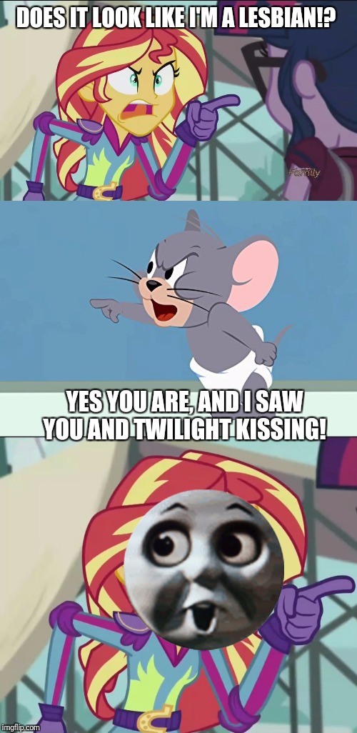DOES IT LOOK LIKE I'M A LESBIAN!? YES YOU ARE, AND I SAW YOU AND TWILIGHT KISSING! | image tagged in sunset shimmer angry,tom and jerry angry tuffy | made w/ Imgflip meme maker