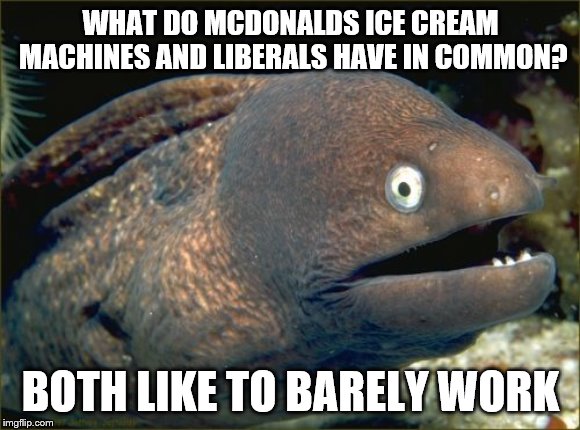 Bad Joke Eel | WHAT DO MCDONALDS ICE CREAM MACHINES AND LIBERALS HAVE IN COMMON? BOTH LIKE TO BARELY WORK | image tagged in memes,bad joke eel,work,butthurt liberals | made w/ Imgflip meme maker