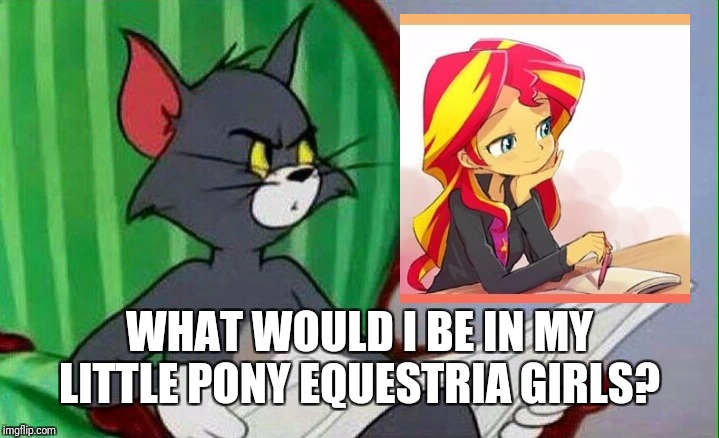 Tom and Jerry | WHAT WOULD I BE IN MY LITTLE PONY EQUESTRIA GIRLS? | image tagged in tom and jerry | made w/ Imgflip meme maker