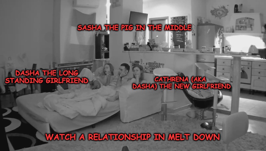 This mans a Pig and the Women are Stupid... | SASHA THE PIG IN THE MIDDLE; DASHA THE LONG STANDING GIRLFRIEND; CATHRENA (AKA DASHA) THE NEW GIRLFRIEND; WATCH A RELATIONSHIP IN MELT DOWN | image tagged in pig,stupid people | made w/ Imgflip meme maker