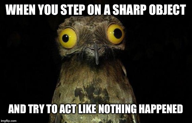 Weird Stuff I Do Potoo | WHEN YOU STEP ON A SHARP OBJECT; AND TRY TO ACT LIKE NOTHING HAPPENED | image tagged in memes,weird stuff i do potoo | made w/ Imgflip meme maker