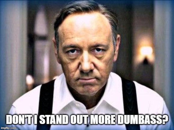 kevin spacey house of cards | DON'T I STAND OUT MORE DUMBASS? | image tagged in kevin spacey house of cards | made w/ Imgflip meme maker