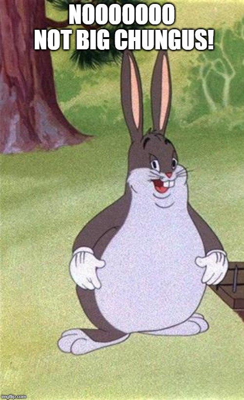 Big Chungus | NOOOOOOO NOT BIG CHUNGUS! | image tagged in big chungus | made w/ Imgflip meme maker