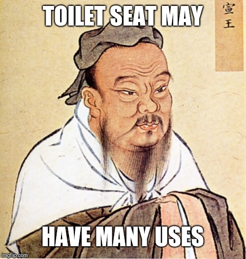 wise confusius | TOILET SEAT MAY; HAVE MANY USES | image tagged in wise confusius | made w/ Imgflip meme maker