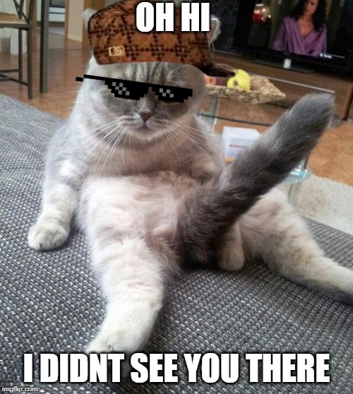 Sexy Cat | OH HI; I DIDNT SEE YOU THERE | image tagged in memes,sexy cat | made w/ Imgflip meme maker