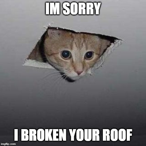 Ceiling Cat | IM SORRY; I BROKEN YOUR ROOF | image tagged in memes,ceiling cat | made w/ Imgflip meme maker