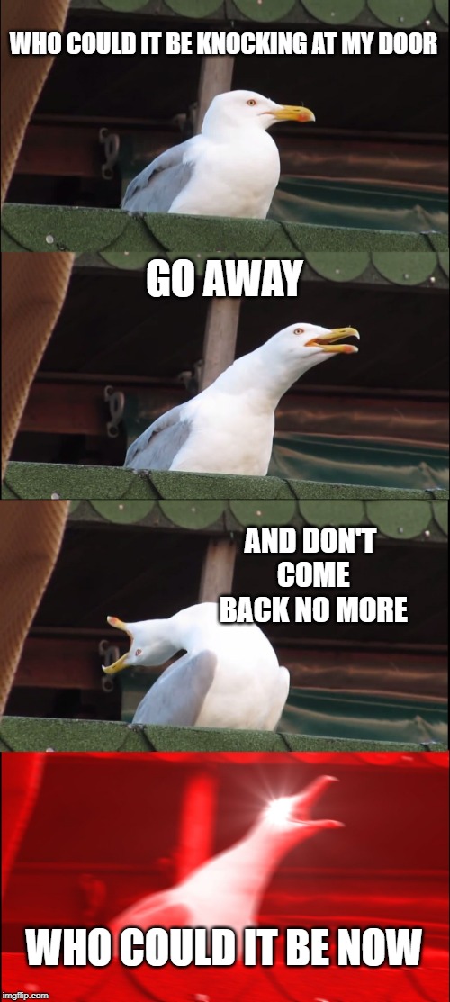 Inhaling Seagull | WHO COULD IT BE KNOCKING AT MY DOOR; GO AWAY; AND DON'T COME BACK NO MORE; WHO COULD IT BE NOW | image tagged in memes,inhaling seagull | made w/ Imgflip meme maker