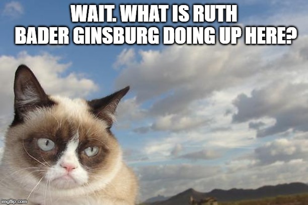 Grumpy Cat Sky Meme | WAIT. WHAT IS RUTH BADER GINSBURG DOING UP HERE? | image tagged in memes,grumpy cat sky,grumpy cat | made w/ Imgflip meme maker