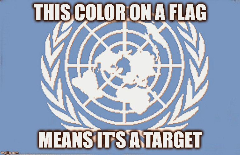 This Flag is UN-American.  
This color means it's a target. | THIS COLOR ON A FLAG; MEANS IT'S A TARGET | image tagged in united nations flag | made w/ Imgflip meme maker