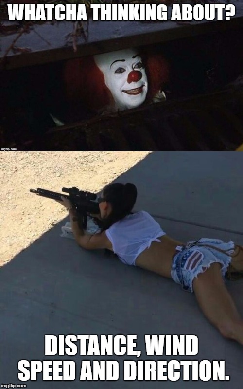 Is it just me or, is she a keeper | WHATCHA THINKING ABOUT? DISTANCE, WIND SPEED AND DIRECTION. | image tagged in 2nd amendment,random,firearms,clown,sexy,american flag | made w/ Imgflip meme maker