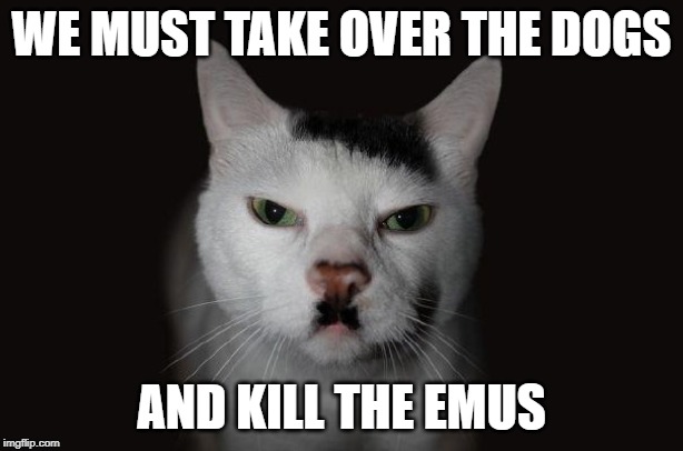 Hitler Cat | WE MUST TAKE OVER THE DOGS; AND KILL THE EMUS | image tagged in hitler cat | made w/ Imgflip meme maker