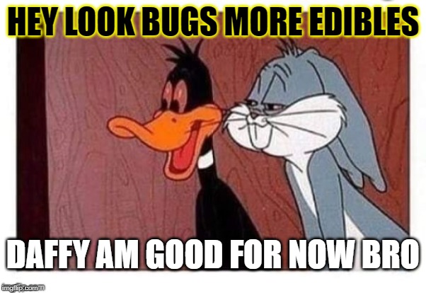 HEY LOOK BUGS MORE EDIBLES DAFFY AM GOOD FOR NOW BRO | made w/ Imgflip meme maker