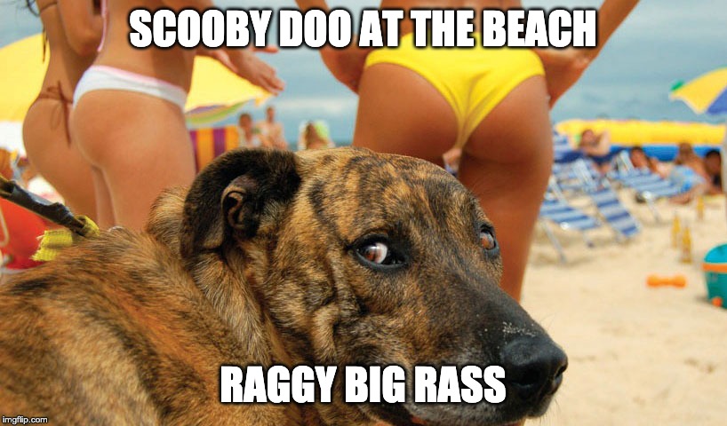 20 movie actors characters that took a wrong turn | SCOOBY DOO AT THE BEACH; RAGGY BIG RASS | image tagged in scooby doo | made w/ Imgflip meme maker
