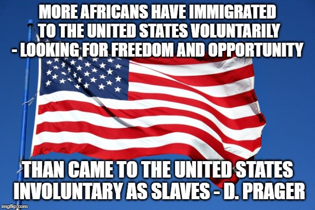 American flag | MORE AFRICANS HAVE IMMIGRATED TO THE UNITED STATES VOLUNTARILY - LOOKING FOR FREEDOM AND OPPORTUNITY; THAN CAME TO THE UNITED STATES INVOLUNTARY AS SLAVES - D. PRAGER | image tagged in american flag | made w/ Imgflip meme maker