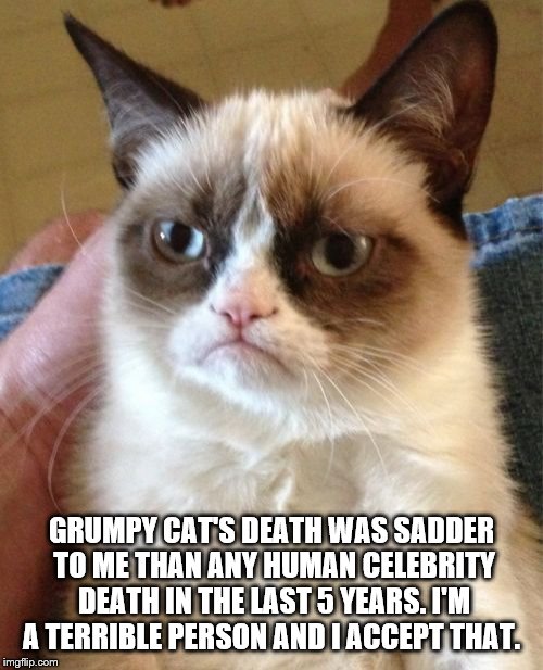 Grumpy Cat | GRUMPY CAT'S DEATH WAS SADDER TO ME THAN ANY HUMAN CELEBRITY DEATH IN THE LAST 5 YEARS. I'M A TERRIBLE PERSON AND I ACCEPT THAT. | image tagged in memes,grumpy cat | made w/ Imgflip meme maker