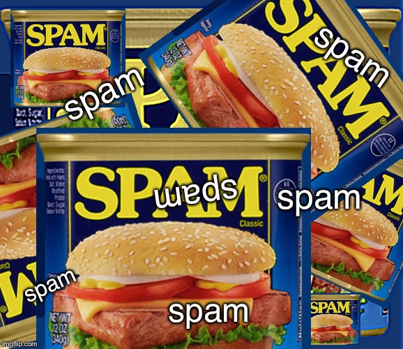 the true meaning of spam | spam; spam; spam; spam; spam; spam | image tagged in spam,random,bored,what am i doing with my life,help me | made w/ Imgflip meme maker
