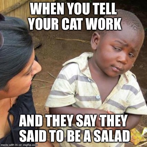 Third World Skeptical Kid Meme | WHEN YOU TELL YOUR CAT WORK; AND THEY SAY THEY SAID TO BE A SALAD | image tagged in memes,third world skeptical kid | made w/ Imgflip meme maker