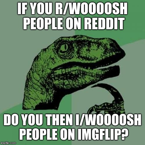 Philosoraptor | IF YOU R/WOOOOSH PEOPLE ON REDDIT; DO YOU THEN I/WOOOOSH PEOPLE ON IMGFLIP? | image tagged in memes,philosoraptor | made w/ Imgflip meme maker