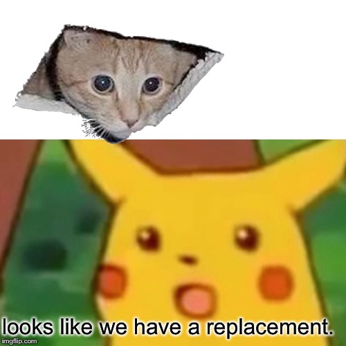Surprised Pikachu Meme | looks like we have a replacement. | image tagged in memes,surprised pikachu | made w/ Imgflip meme maker