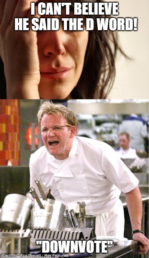 I CAN'T BELIEVE HE SAID THE D WORD! "DOWNVOTE" | image tagged in memes,first world problems,chef gordon ramsay | made w/ Imgflip meme maker