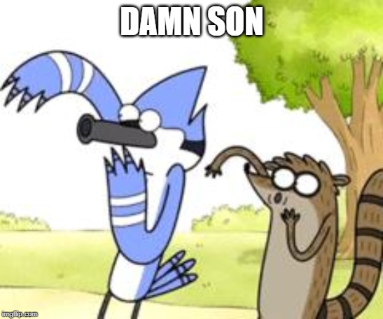 Regular Show OHHH! | DAMN SON | image tagged in regular show ohhh | made w/ Imgflip meme maker